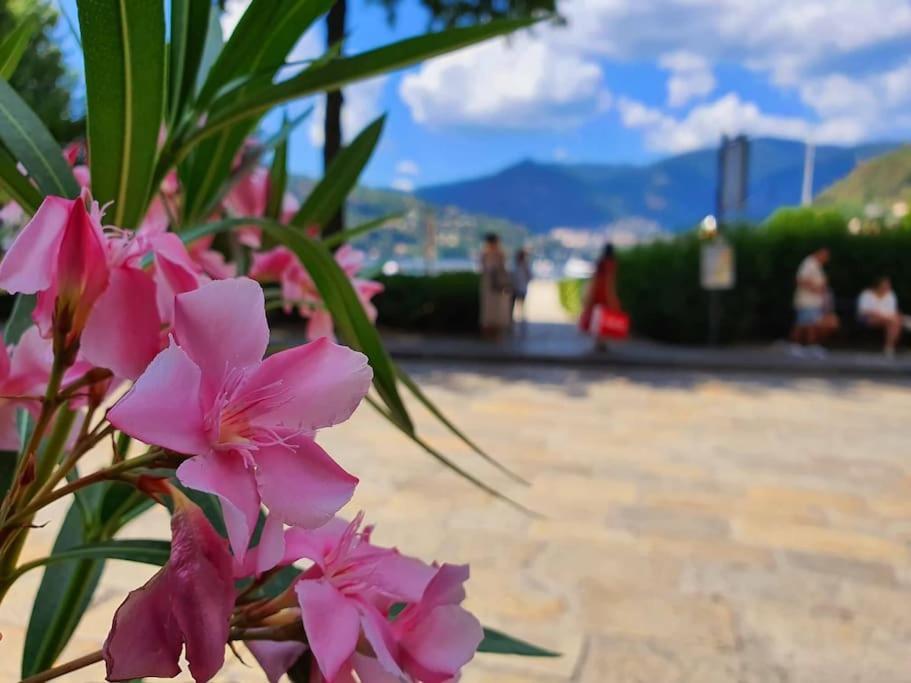 Plaza Deluxe Modern Center House - View Como Lake - Top Privacy Dış mekan fotoğraf
